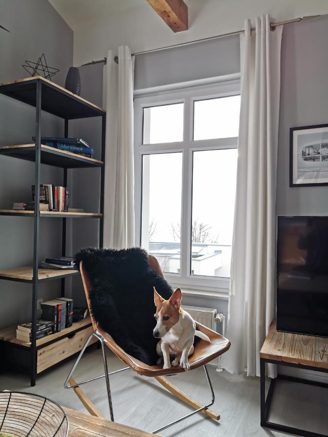 Homelig Altstadt Ferienwohnungen ザスニッツ エクステリア 写真