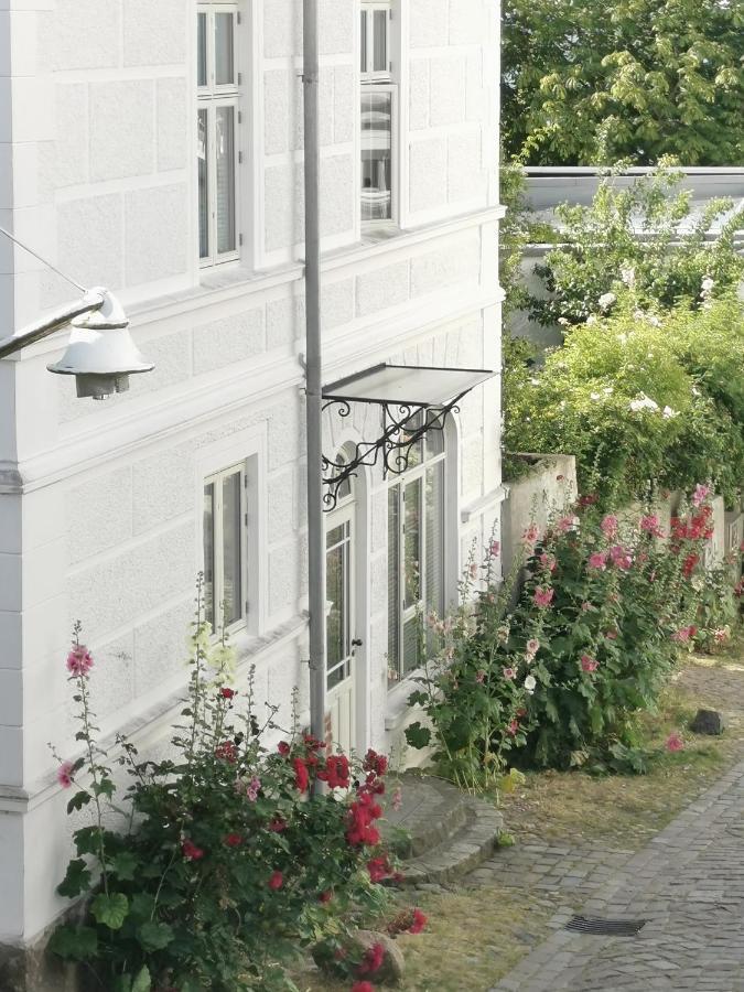 Homelig Altstadt Ferienwohnungen ザスニッツ エクステリア 写真